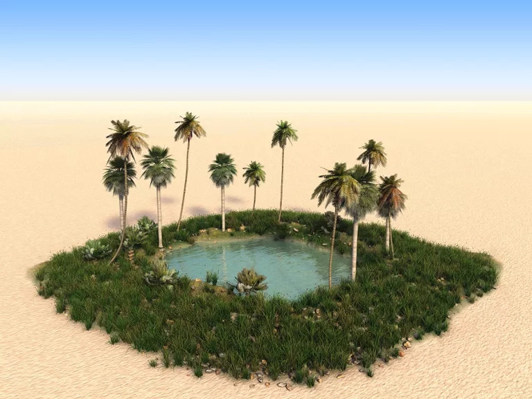 Oasis Ollas